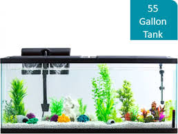 55 Gallon Aquarium Fish Tank Full Starter Kit Led Lights Filter Hood Pet Home 55 Gallon Aquarium Aquarium Fish Tank Aquarium Fish