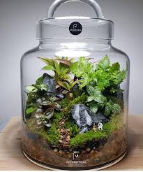 Image May Contain Food Closed Terrarium Plants Terrarium Plants Plant In Glass