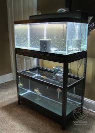 Solid Gold The Perfect Rack For 40 Gallon Tanks Fish Tank Stand Fish Tank Cabinets 40 Gallon Aquarium Stand