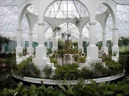 Pin By The Jetstream On Bem Vindo Ao Brasil Botanical Gardens Landscaping Inspiration Alpine Plants