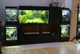 Planted Tank And Other Tank Displays In A House Aquascaping Tropicalfishaquariumideas Fresh Water Fish Tank Aquarium Tropical Fish Aquarium