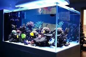 Saltwater Tank Decoration Ideas Saltwater Fish Tanks Saltwater Aquarium Tanks Fish Tank Design