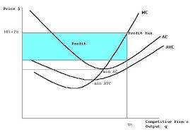 Profit Maximization Perfect Competition