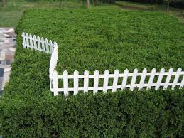 Garden Fence Ideas That Truly Creative Inspiring And Low Cost Diy Cheap Vegetable Pvc Deer Small Garden Fence Rustic Garden Fence Backyard Fences