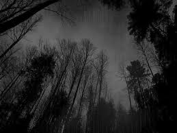 Dark Night Hd Black Wallpapers For Laptop With High Resolution Dark Wallpaper Aesthetic Backgrounds Forest Wallpaper