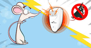 Getting mice out of your house can be a challenging and difficult task if it is not handled properly. The Best Way To Get Rid Of Field Mice In Your Garden Areas And Backyard Best Way To Get Rid Of Mouse In House