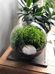 Tiny Terrarium Kit Micro Terrarium Tiny Terrarium With Etsy Moss Terrarium Terrariums Kits Terrarium