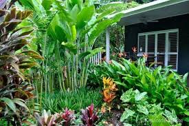 Tabu Tropical Paradise In Cairns Queensland Tropical Landscaping Tropical Garden Tropical Garden Design