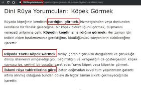 Dini Ruya Yorumculari Kopek Gormek Isaretler Kopek Ruya