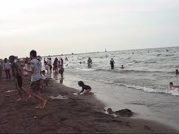 Batang, kabupaten batang, jawa tengah 51216. Tempat Wisata Pantai Sigandu Dengan Batang Dolphins Center Di Batang