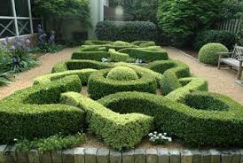 Services Alex Smith Garden Design Ltd Parterre Garden Boxwood Garden Garden Design