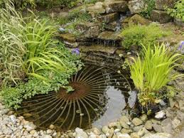 Build A Classroom Frog Pond Ponds For Small Gardens Water Features In The Garden Garden Water Fountains