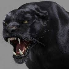 Panther 3d Model Animal Tattoos Animals 3d Model