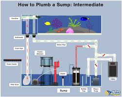How To Plumb A Sump Basic Intermediate And Advanced Marine Depot Blog Aquarium Sump Saltwater Fish Tanks Saltwater Aquarium Setup