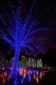 Winter Lights At Nc Arboretum Winter Light Holiday Lights Deck Lights