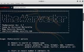 Theharvester Email And Domain Scanning From Google Bing Pgp Linkedin In 2020 Kali Linux Tutorials Domain Server Computer Setup