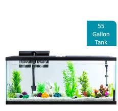 Fish Tank Kit 55 Gallon Aquarium With Led Lighting Placed On Table Bookshelf 55 Gallon Aquarium Aquarium Fish Tank Fish Tank