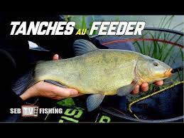 Epingle Sur Peche