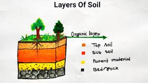Soil Profile Diagram Drawing Layers Of Soil How To Draw Soil Layer Youtube