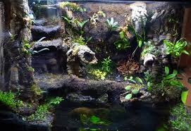 Duff S 56g Column Paludarium Build Dendroboard Vivarium Reptile Tank Aquascape Aquarium
