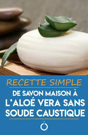 Recette Simple De Savon A L Aloe Vera Sans Soude Caustique Recettes De Savon Maison Savon Maison Recettes De Savon