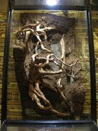 How To Make A Natural Vivarium Background Big Al S Blog Vivarium Aquarium Backgrounds Reptile Habitat