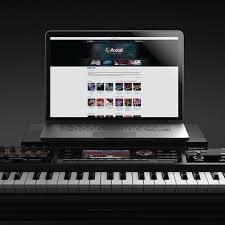 Download Studio Sounds Artist Patches And Classic Sound Collections For Your Roland Synthesizer On Axial Access S Sound Library Roland Synthesizer Synthesizer