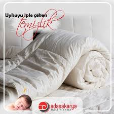 Instagram Post By Ada Sakarya Hali Yikama Dec 11 2018 At 11 56am Utc Bean Bag Chair Bed Pillows Pillows