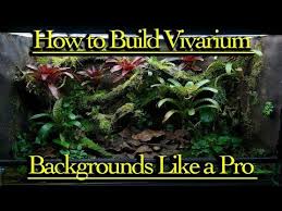 How To Build A Custom Diy Vivarium Like A Pro Part 2 Youtube Vivarium Building Like A Pro