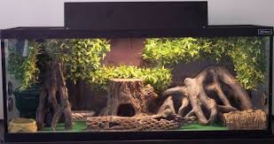 Leopardgecko27gallonterrarium Jpg 640 339 Pixels Gecko Terrarium Gecko Habitat Leopard Gecko Habitat