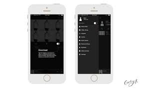 How To Make Offline Playlists In Spotify Apple Music And Tidal Carley K Apple Music Music App Spotify