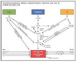 Simple And Easy Recipes Metabolism Metabolism Foods Best Natural Skin Care