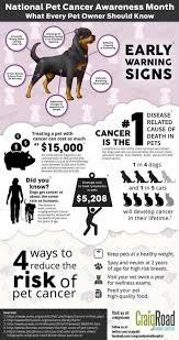 Pin By Kyle Stevenson On Vet Stuff Pet Cancer Dog Cancer Canine Cancer