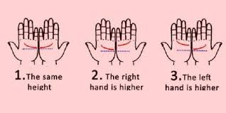 Domain Renewal Instructions Hand Lines Meaning Best Positive Quotes Palm Reading Meaning