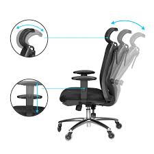 Duramont Ergonomic Adjustable Office Chair With Lumbar Support And Rollerblade Wheels High Back With Br Office Chair Adjustable Office Chair Best Office Chair
