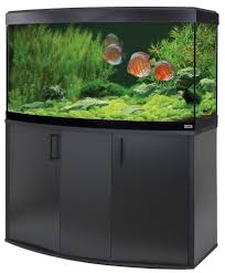 Fluval Vicenza 260 Led Aquarium And Cabinet Kit Maidenhead Aquatics In 2020 Aquarium Freshwater Aquarium Vicenza