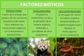 Desde la bacteria más pequeña hasta el mamífero más grande, todos necesitamos los factores abióticos con el fin de sobrevivir. Factores Bioticos Que Son Caracteristicas Clasificacion Y Ejemplos Resumen