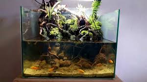 Tank Paludarium Nano Aquarium Terrarium Paludarium Riparium Vivarium Terrariums Kits Nano Aquarium Terrarium