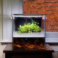 Beautiful Nano Paludarium Tank Nano Aquarium Tropical Freshwater Fish Fish Plants