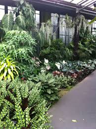 Tips And Tricks That Every Organic Gardener Should Know Useful Garden Ideas And Tips Tropical Landscape Design Tropical Landscaping Landscape Design