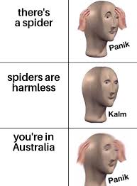 Meme Man Meme Funny Relatable Memes Funny Memes Stupid Funny Memes