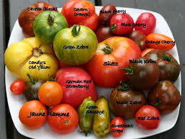 Garden Grow Tomatoes Heirloom Tomatoes Varieties Heirloom Vegetables Types Of Tomatoes