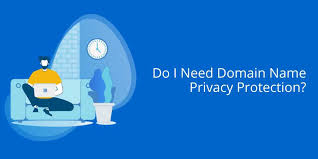 Do I Need Domain Name Privacy Protection Bluehost Blog