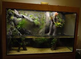 My 300g Diy Paludarium Paludariums Aquatic Plant Central Vivarium Aquatic Plants Tanked Aquariums