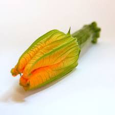 Fleur De Courgette Squash Blossoms Zucchini Flowers Whatever You Call Them They Re S Different Fruits And Vegetables Fruits And Veggies Zucchini Flowers