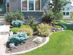 Best Shrub Picks For The Season Front Garden Landscape Front Yard Landscaping Outdoor Gardens
