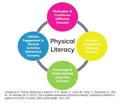 Physical Literacy In 2020 Domain Knowledge Educational Theories Cognitive Domain