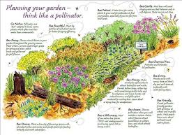 Planning Your Garden Think Like A Pollinator Via Irish Wildlife Trust Https Www Facebook Co Pollinator Garden Pollinator Garden Design Bee Friendly Garden