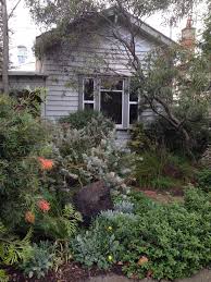 Native Garden Northcote Victoria Australia Australian Garden Design Australian Garden Australian Native Garden