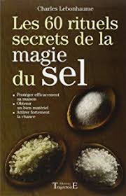 Les 60 Rituels Secrets De La Magie Du Sel La Magie Rituels Sel